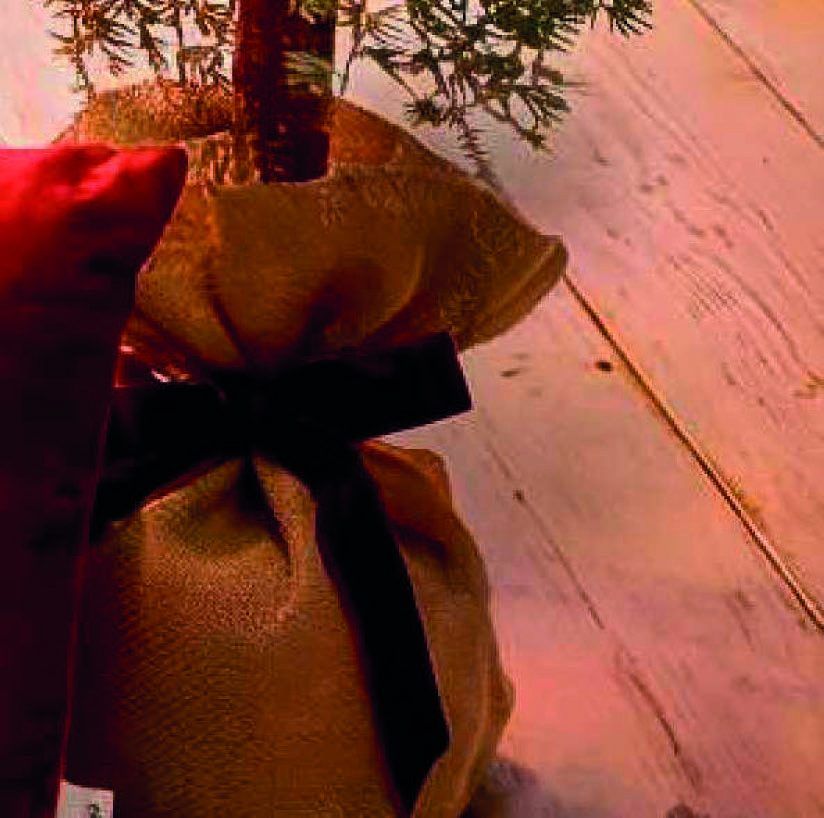 Deko-Tannenbaum im Jutesack mit Samtschleife auf Holzboden