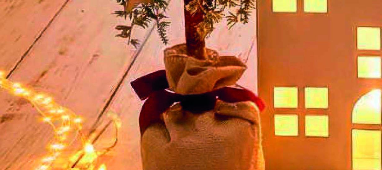 Deko-Tannenbaum im Jutesack mit roter Schleife vor beleuchtetem Deko-Haus