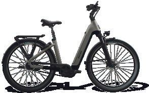 Silbergraues Wittich BI 10.4 E-Bike mit Tiefeinstieg